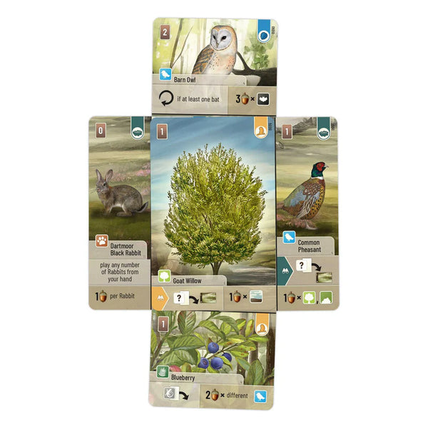 Forest Shuffle: Dartmoor