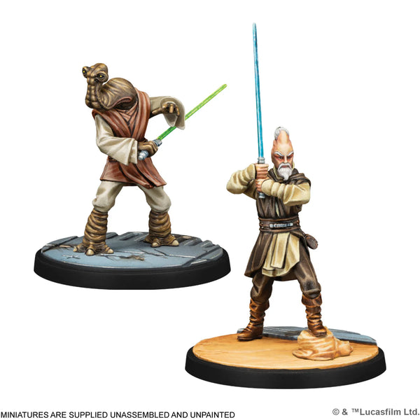 Star Wars Shatterpoint: Wisdom of the Council
